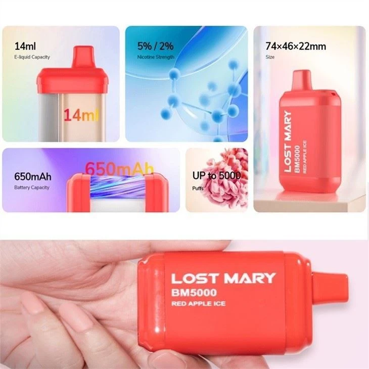 lost-mary-bm5000-vapes11506309722