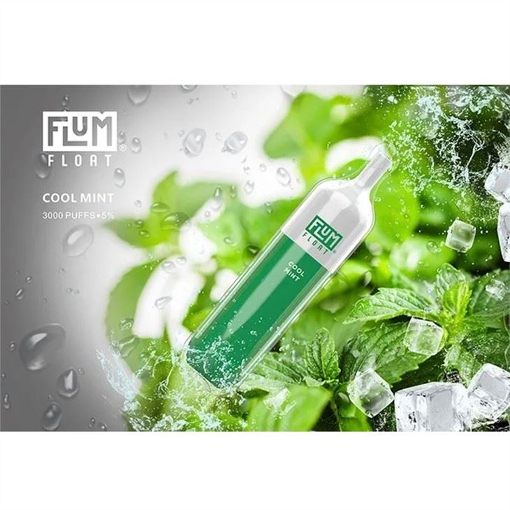 Flum Float 3000 Disposable Vape COOL MINT
