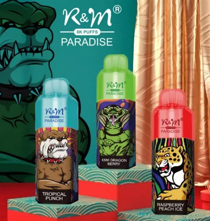 R&M PARADISE 8000puffs
