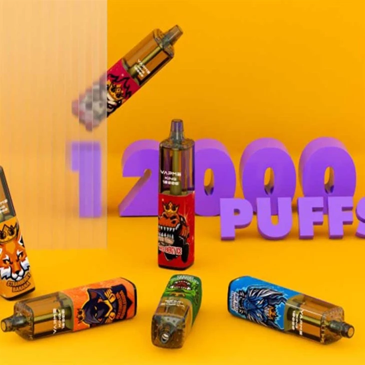 VAPME KING 12000 PUFFS