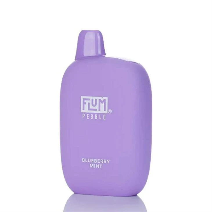 FlumPebbleBlueberryMint_600x__FLUM Pebble 6000