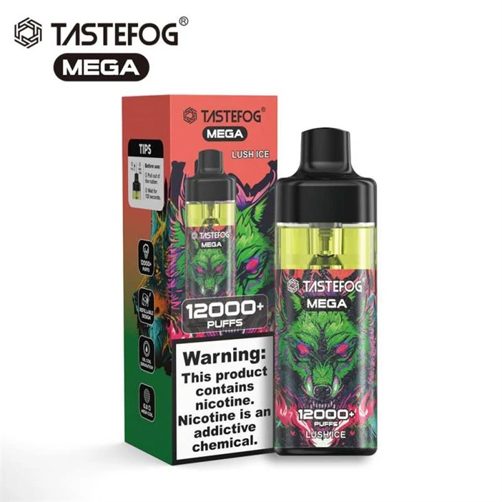 TASTEFOG MEGA 12000 Ptysiów