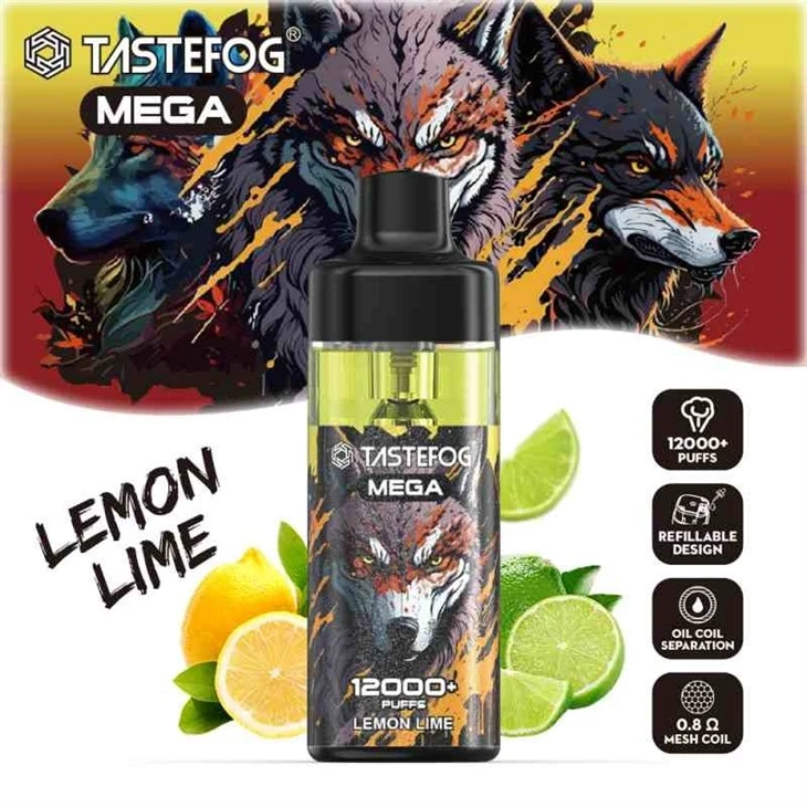 TASTEFOG MEGA 12000 21