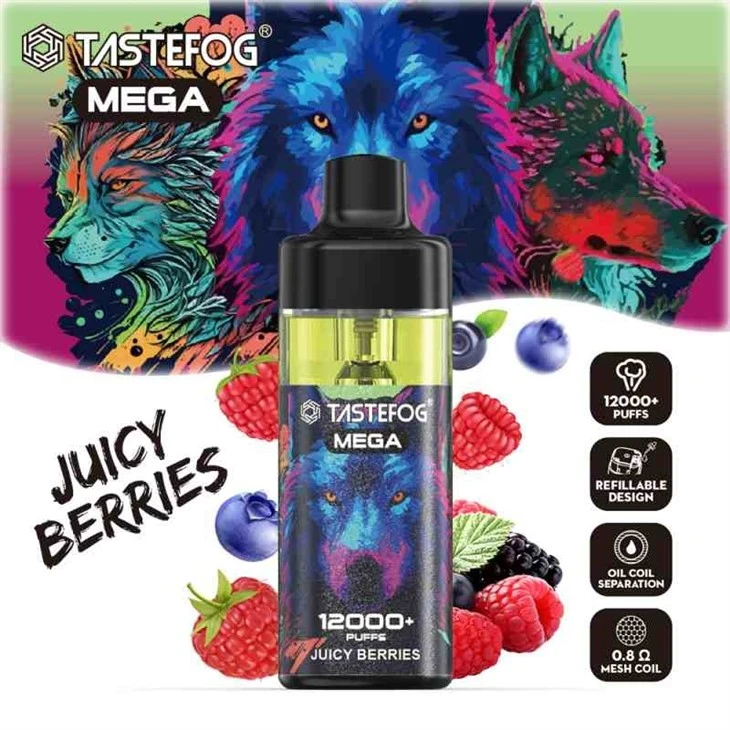 TASTEFOG MEGA 12000 26